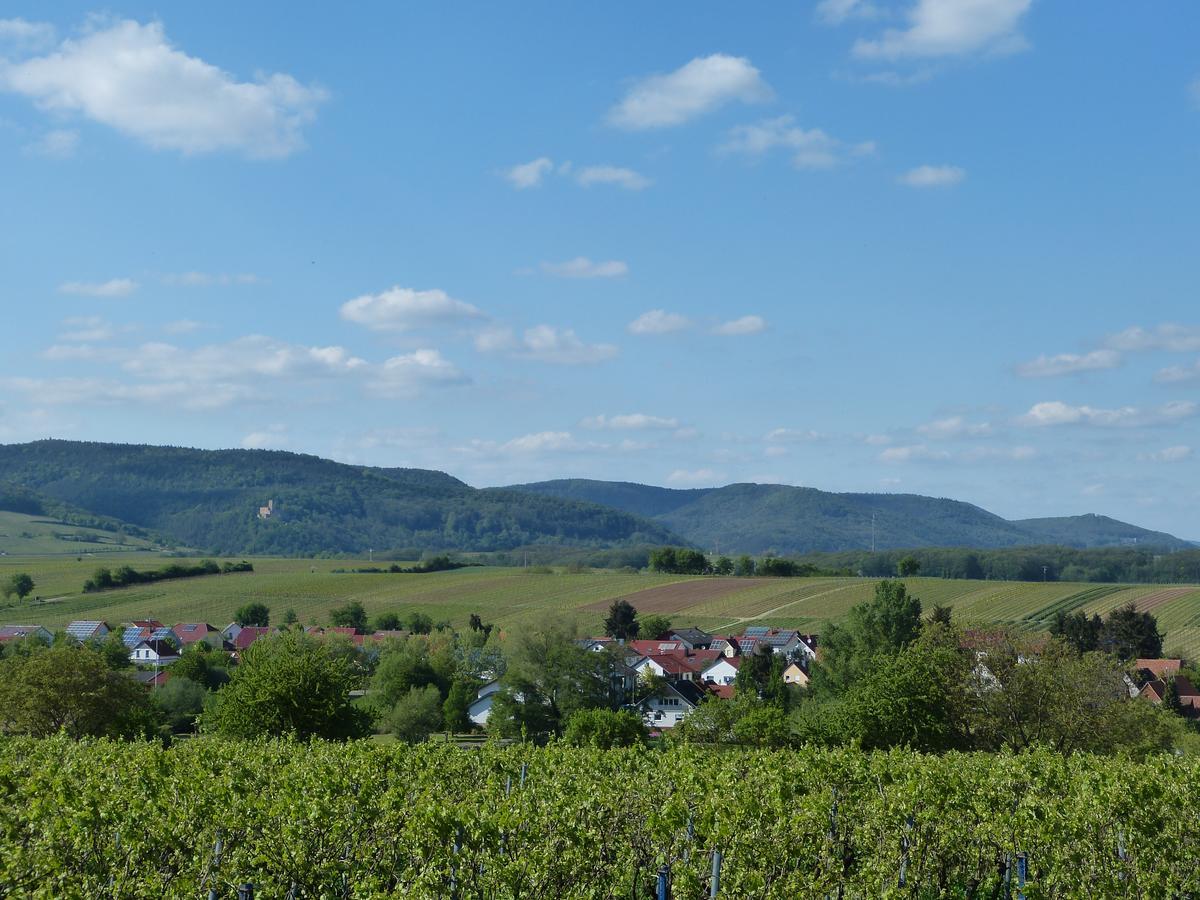 Gaestehaus Annel Niederhorbach Экстерьер фото